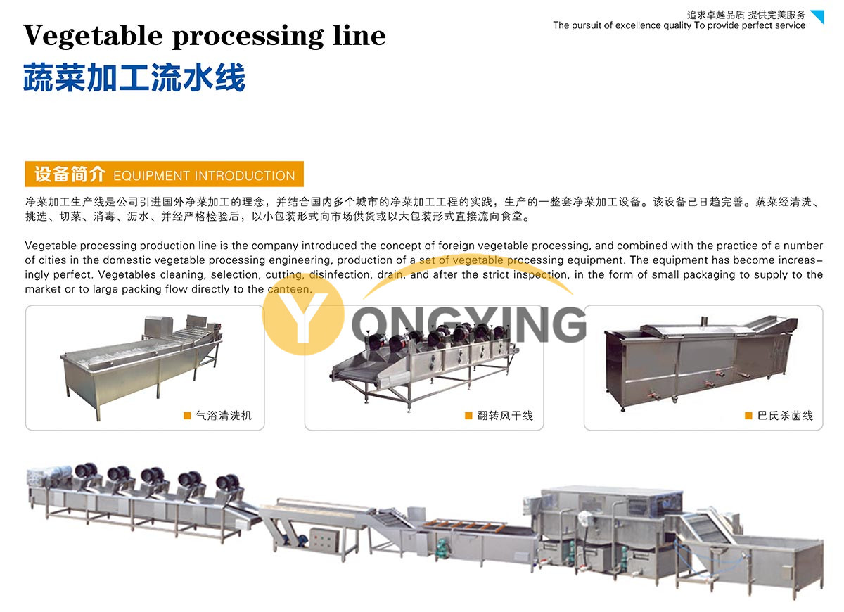 蔬菜加工流水線.jpg